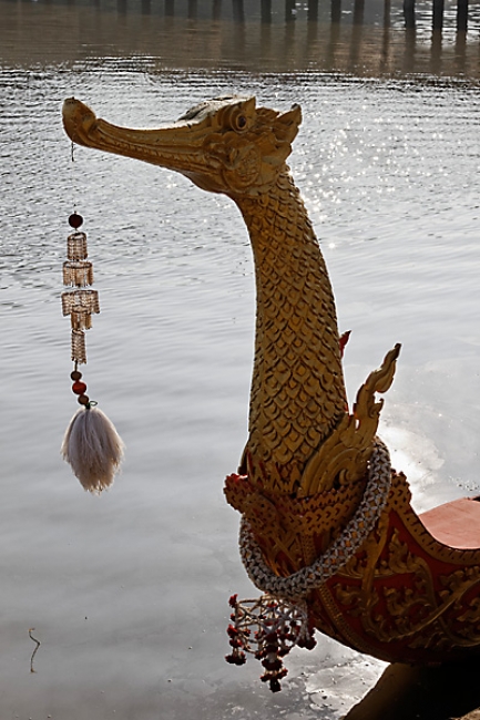 Phimai boat races-014